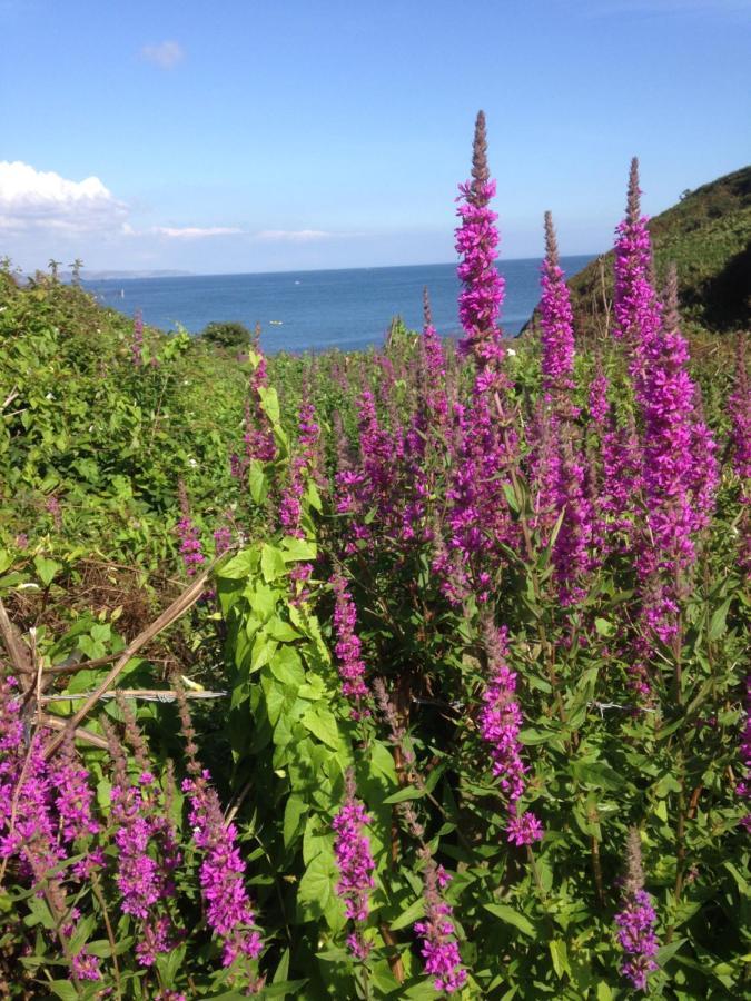 Kerryanna Country House Bed And Breakfast Mevagissey Extérieur photo